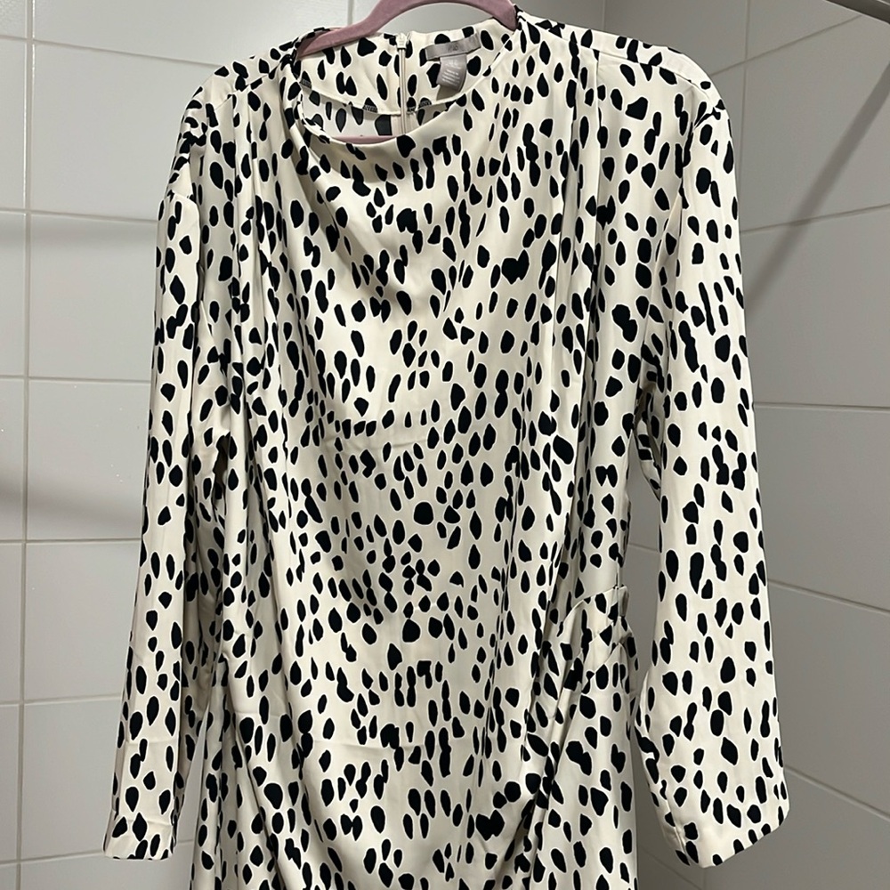 NWOT H&M Dot Dress
